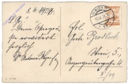 Frisch geschlüpfte Kücken