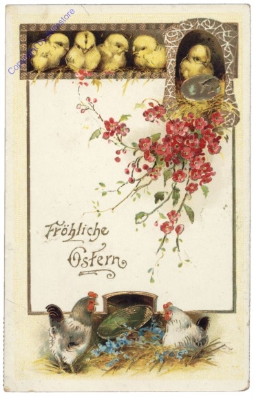 Kücken, Hahn und Henne