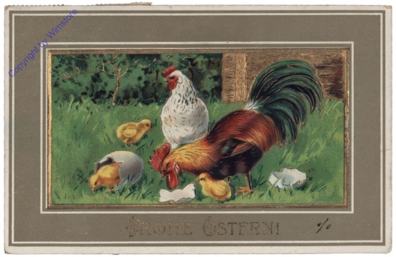 Kücken, Hahn und Henne
