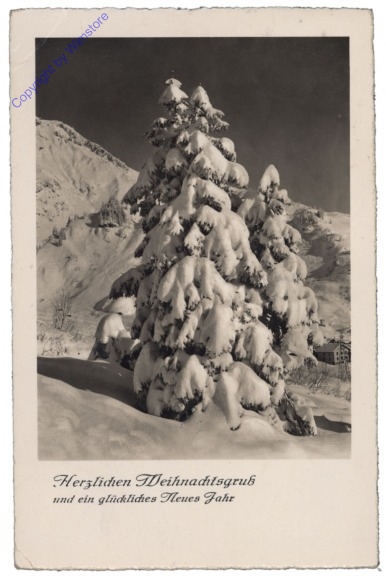 Verschneiter Baum