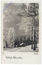 Verschneite Landschaft