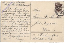 ak164731a Zapfen und Zweige