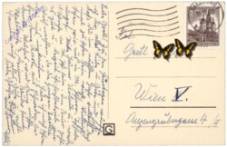 ak164732a Zapfen und Zweige und Glocken