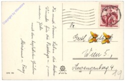 ak164740a Spaziergang im Schnee