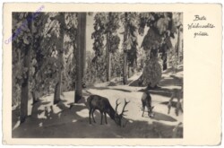 Rehe im Wald