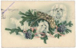 Spielende Hunde