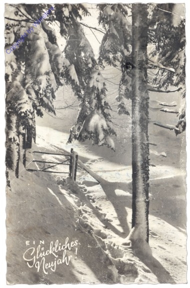Verschneiter Waldpfad