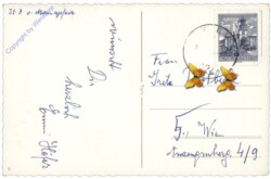 Verschneiter Pfad