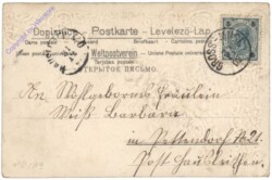 Rauchfangkehrer mit Rosen