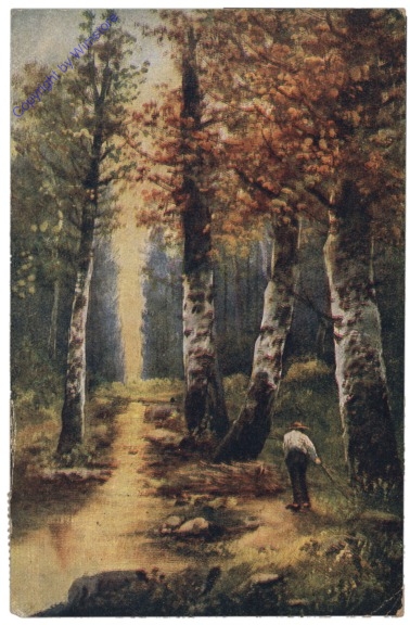 Lichtung