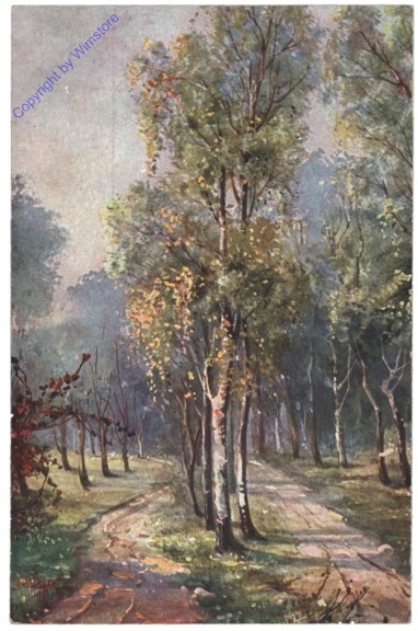 Waldweg