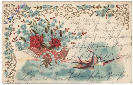 Rosen und Schwalben