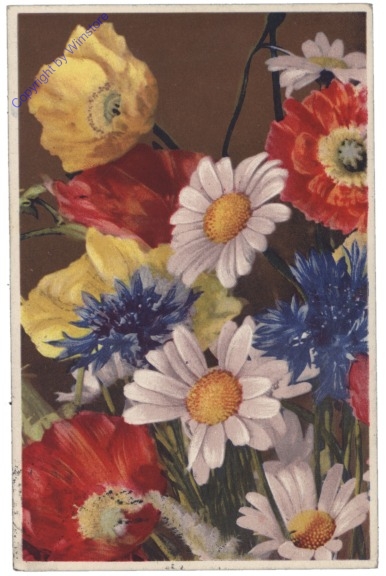 Blumenwiese