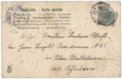 Edelweiß