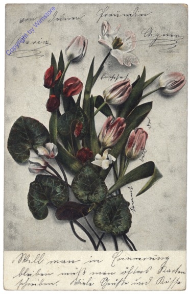 Tulpen