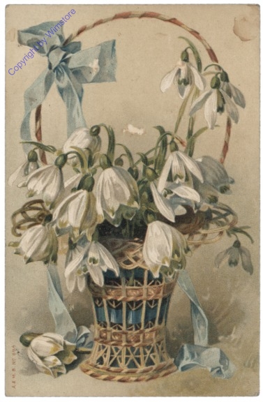 Frühlingsknotenblume