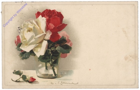 Rosen (dreifärbig)