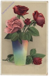 Rosen in Vase