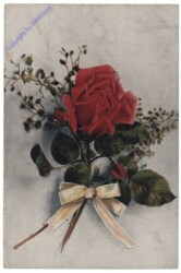 Rose mit Schleife