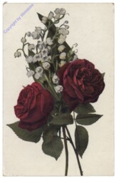Rose mit Maiglöckchen
