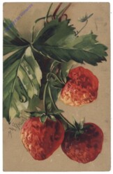 Erdbeeren