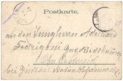 Kleinkind mit Blumen