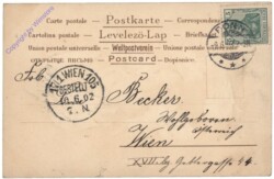 Kissenschlacht
