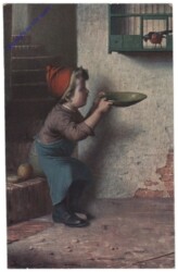 Vogelfütterung