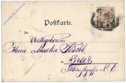 Mädchen mit Vogerl