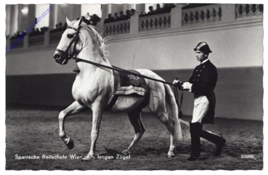 ak164954 Wien 1, Spanische Reitschule, Am langen Zügel