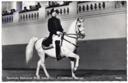 Wien 1, Spanische Reitschule, Schulhengst im verkürzten Galopp