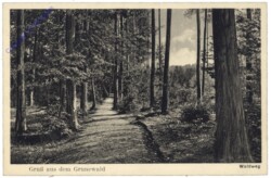 ak165427 Berlin, Gruss aus dem Grunewald, Waldweg