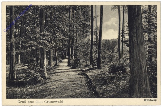 Berlin, Gruss aus dem Grunewald, Waldweg