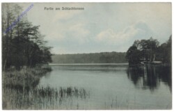 Berlin, Partie am Schlatensee