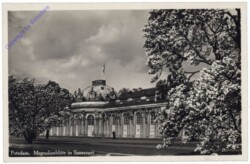 ak165594 Potsdam, Schloss Sanssouci, Magnolienblüte