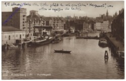 Königsberg, Hundegatt