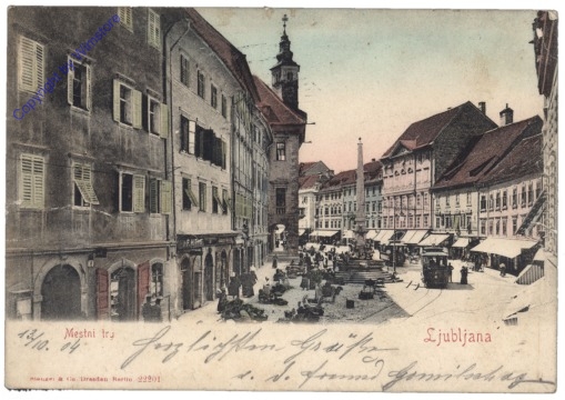 Ljubljana, Mestni try