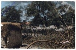 ak165693 Somalia, Features of Somalia