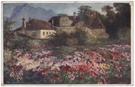 Das Nelkenfeld