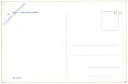 Brno (Brünn), Wilsonovo namesti