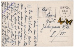 Brno (Brünn), St. Petersdom