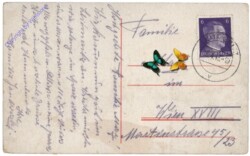 Litomerice (Leitmeritz), Multiansicht