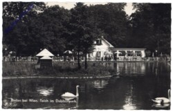 Baden, Teich im Doblhoffpark
