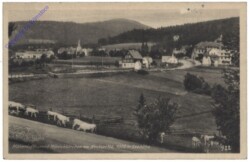 Mönichkirchen, Ortsansicht