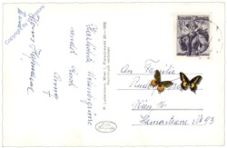 Prigglitz, Ortsansicht