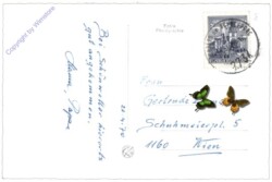 Puchberg, Multiansicht