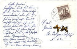 Waldegg, Ortsansicht