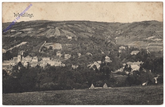 ak166414 Weidling, Ortsansicht