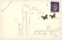 Piringsdorf, Ortsansicht