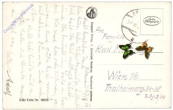 Abtenau, Bad gegen die Bischofsmütze